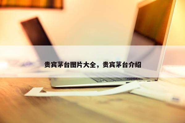 贵宾茅台图片大全，贵宾茅台介绍