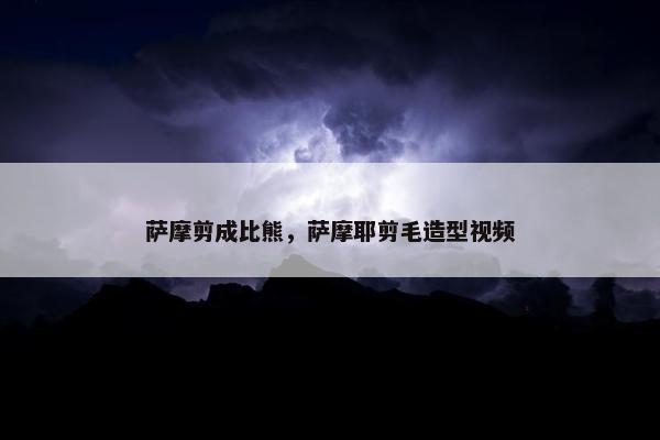萨摩剪成比熊，萨摩耶剪毛造型视频