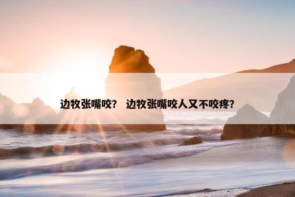 边牧张嘴咬？ 边牧张嘴咬人又不咬疼？