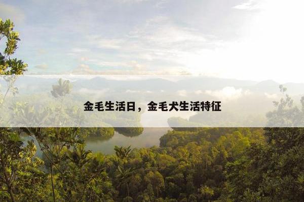 金毛生活日，金毛犬生活特征