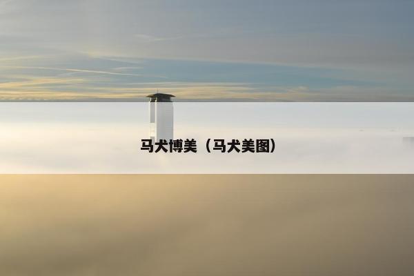 马犬博美（马犬美图）