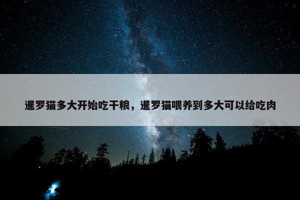 暹罗猫多大开始吃干粮，暹罗猫喂养到多大可以给吃肉