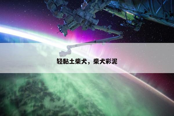 轻黏土柴犬，柴犬彩泥