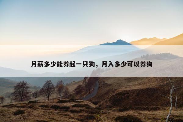 月薪多少能养起一只狗，月入多少可以养狗