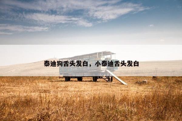 泰迪狗舌头发白，小泰迪舌头发白