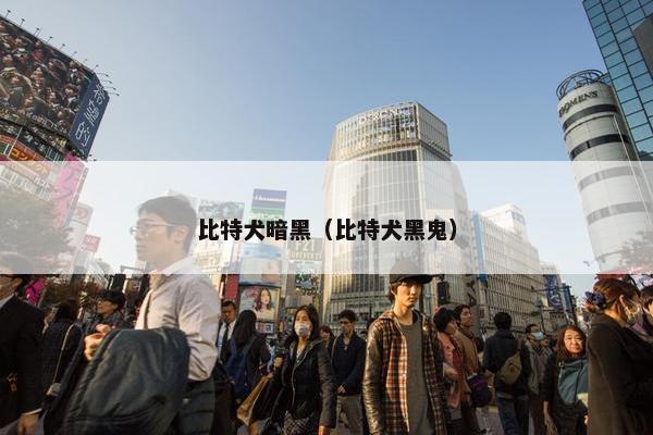 比特犬暗黑（比特犬黑鬼）