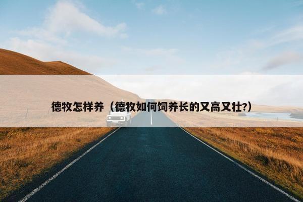 德牧怎样养（德牧如何饲养长的又高又壮?）