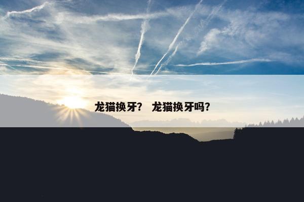 龙猫换牙？ 龙猫换牙吗？