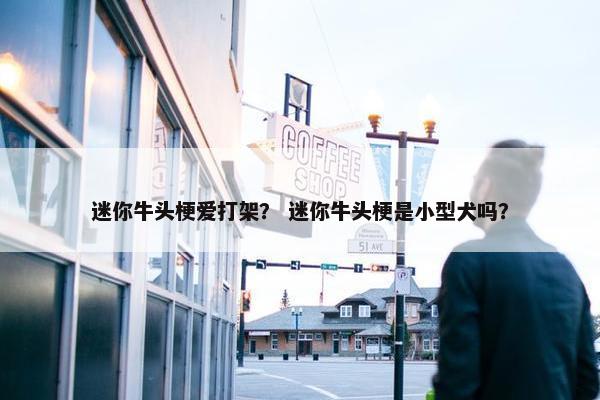 迷你牛头梗爱打架？ 迷你牛头梗是小型犬吗？