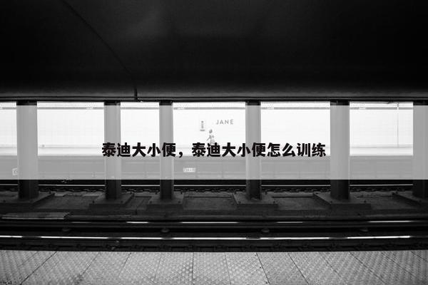 泰迪大小便，泰迪大小便怎么训练