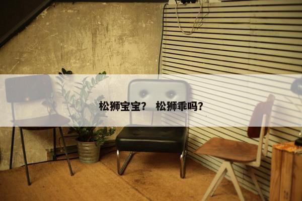 松狮宝宝？ 松狮乖吗？