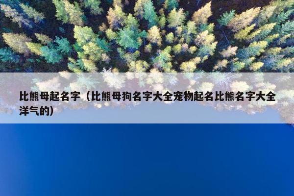 比熊母起名字（比熊母狗名字大全宠物起名比熊名字大全洋气的）