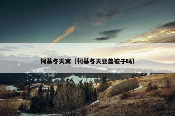 柯基冬天窝（柯基冬天要盖被子吗）