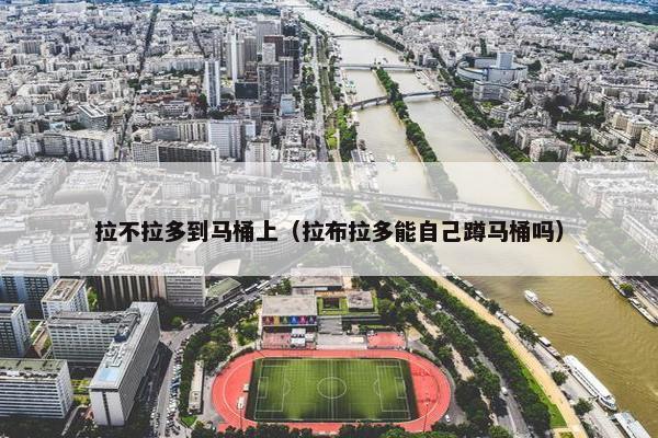 拉不拉多到马桶上（拉布拉多能自己蹲马桶吗）