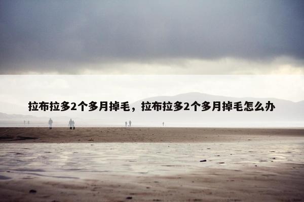 拉布拉多2个多月掉毛，拉布拉多2个多月掉毛怎么办