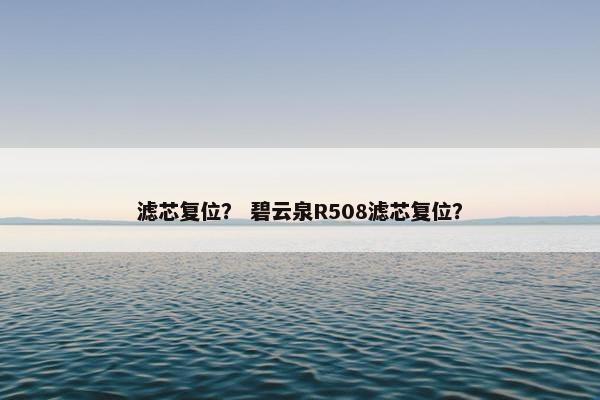 滤芯复位？ 碧云泉R508滤芯复位？