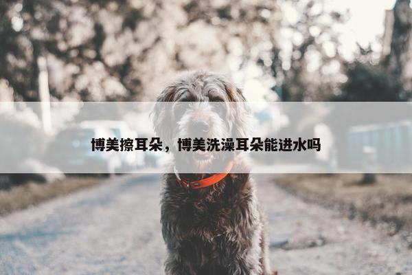博美擦耳朵，博美洗澡耳朵能进水吗