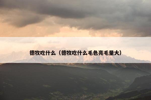 德牧吃什么（德牧吃什么毛色亮毛量大）