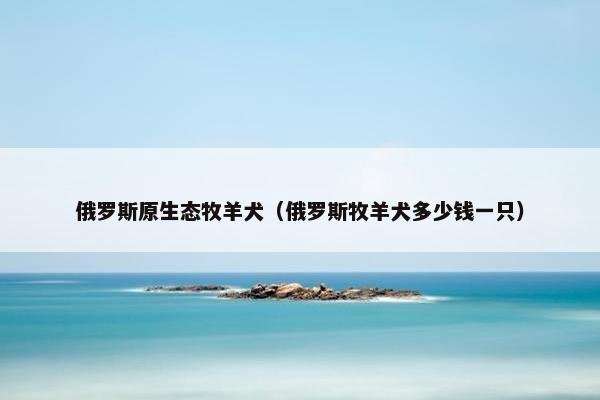 俄罗斯原生态牧羊犬（俄罗斯牧羊犬多少钱一只）