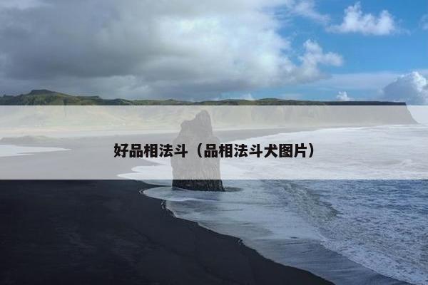 好品相法斗（品相法斗犬图片）