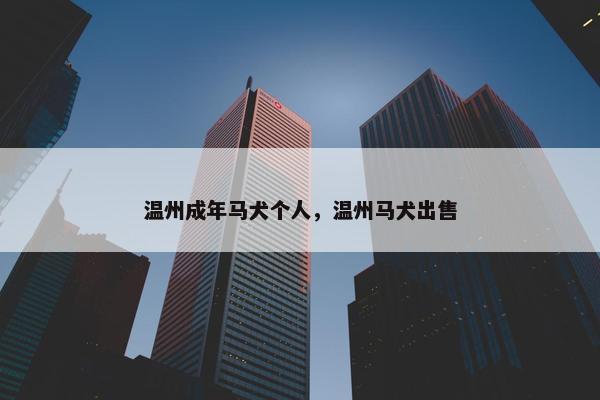 温州成年马犬个人，温州马犬出售