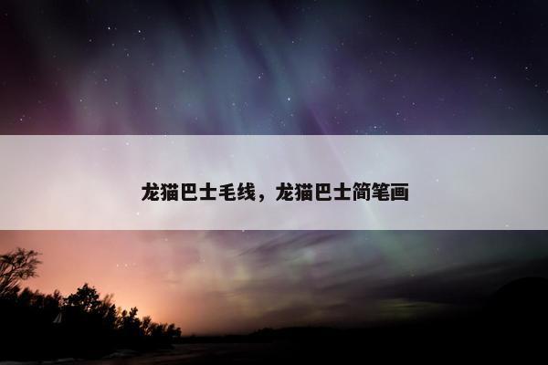 龙猫巴士毛线，龙猫巴士简笔画