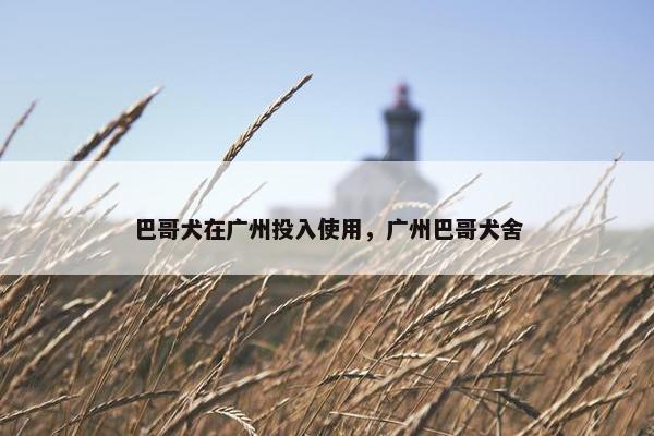 巴哥犬在广州投入使用，广州巴哥犬舍