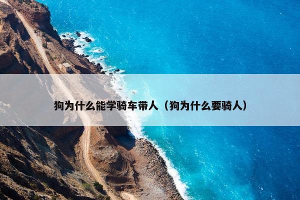 狗为什么能学骑车带人（狗为什么要骑人）