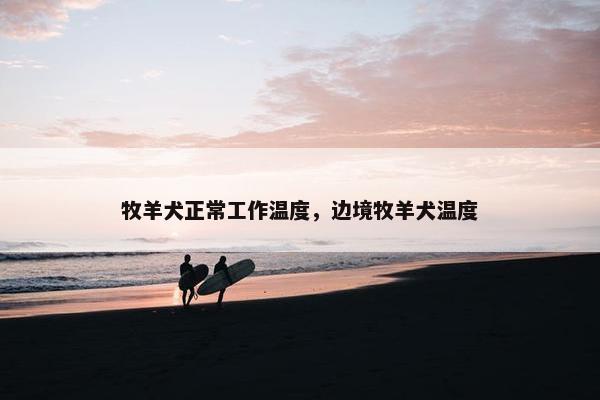 牧羊犬正常工作温度，边境牧羊犬温度