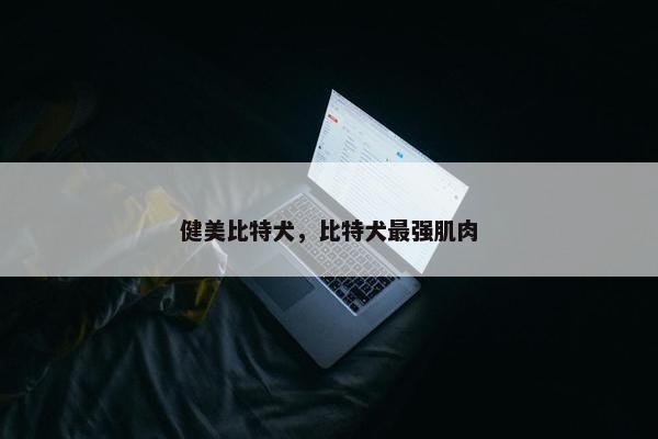 健美比特犬，比特犬最强肌肉