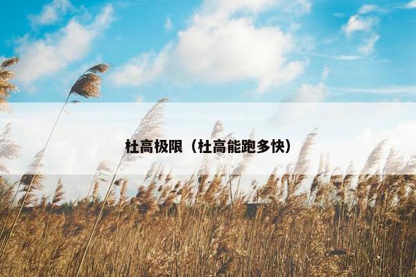 杜高极限（杜高能跑多快）