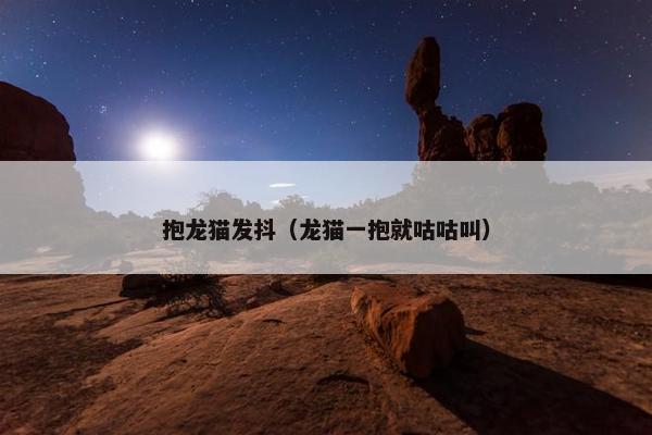 抱龙猫发抖（龙猫一抱就咕咕叫）
