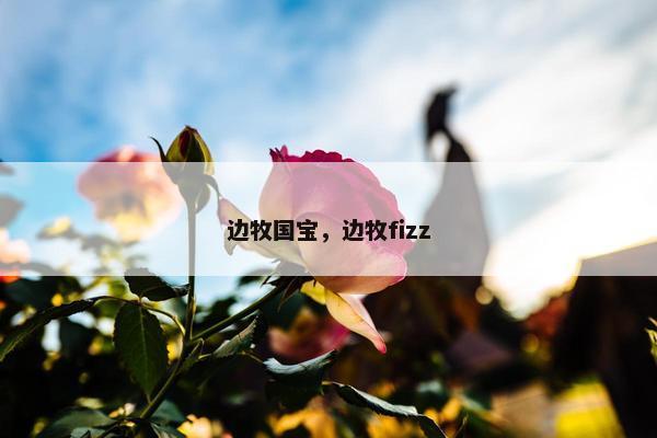 边牧国宝，边牧fizz