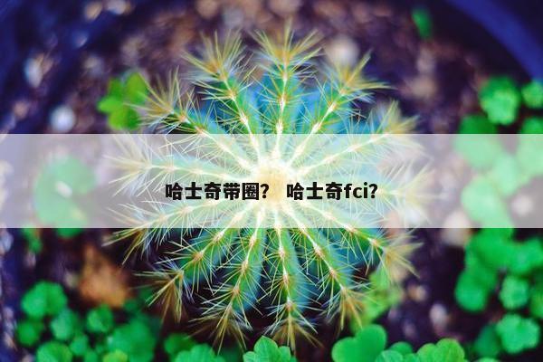 哈士奇带圈？ 哈士奇fci？