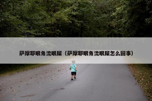 萨摩耶眼角流眼屎（萨摩耶眼角流眼屎怎么回事）