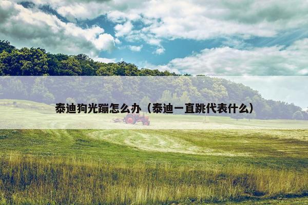 泰迪狗光蹦怎么办（泰迪一直跳代表什么）