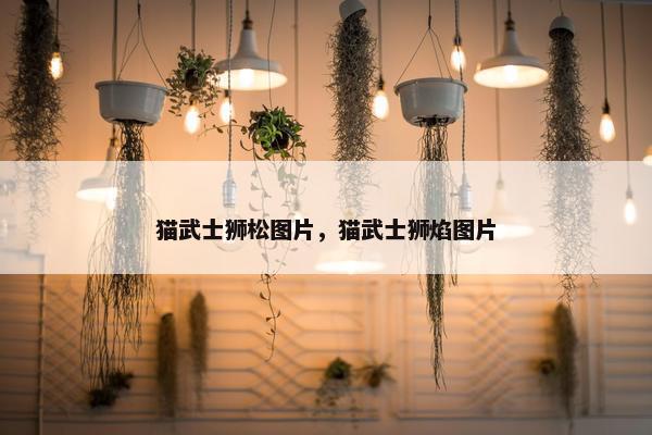 猫武士狮松图片，猫武士狮焰图片