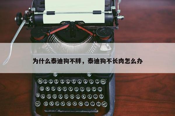 为什么泰迪狗不胖，泰迪狗不长肉怎么办