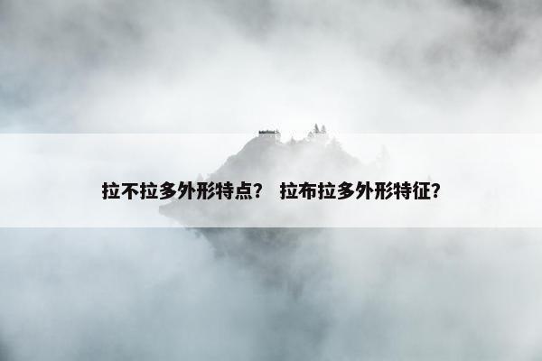 拉不拉多外形特点？ 拉布拉多外形特征？