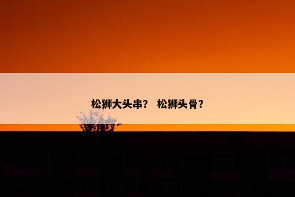 松狮大头串？ 松狮头骨？