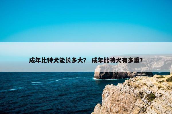 成年比特犬能长多大？ 成年比特犬有多重？