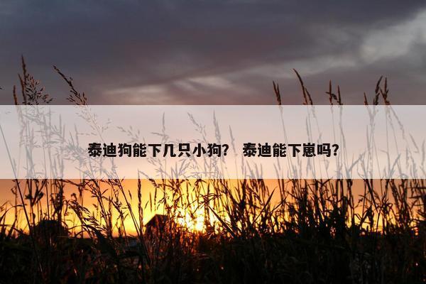 泰迪狗能下几只小狗？ 泰迪能下崽吗？