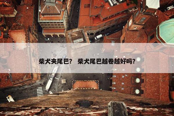 柴犬夹尾巴？ 柴犬尾巴越卷越好吗？
