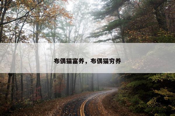 布偶猫富养，布偶猫穷养