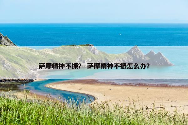 萨摩精神不振？ 萨摩精神不振怎么办？