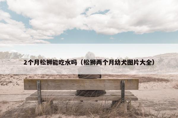 2个月松狮能吃水吗（松狮两个月幼犬图片大全）