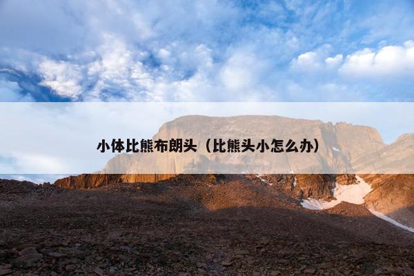 小体比熊布朗头（比熊头小怎么办）