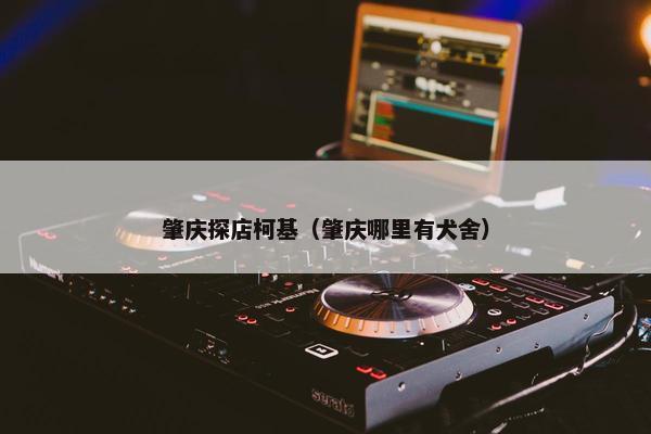 肇庆探店柯基（肇庆哪里有犬舍）