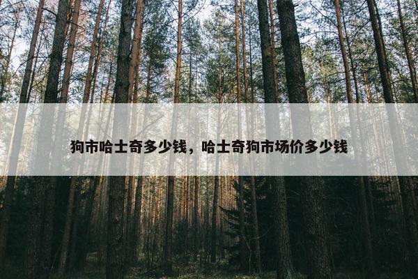 狗市哈士奇多少钱，哈士奇狗市场价多少钱