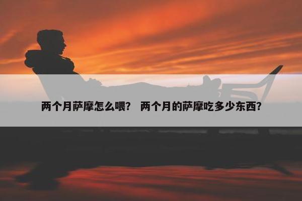 两个月萨摩怎么喂？ 两个月的萨摩吃多少东西？